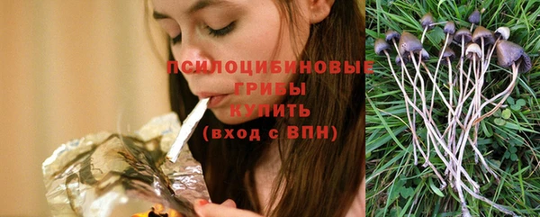 твердый Алзамай